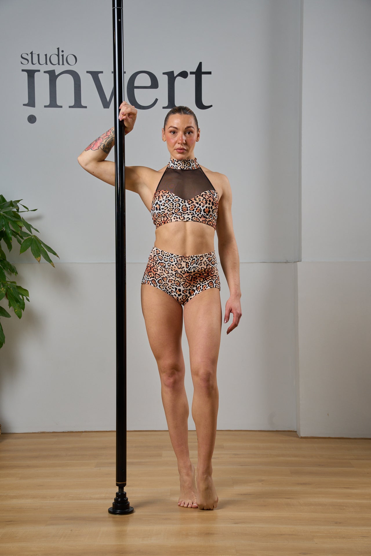 Pole Dance Set "Wild Essence"